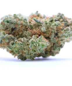Alternative view of White Widow – 10-OH-HHC Blüten